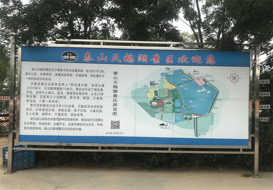 天鵝湖風(fēng)景區(qū)（泰山）速覽！(圖2)