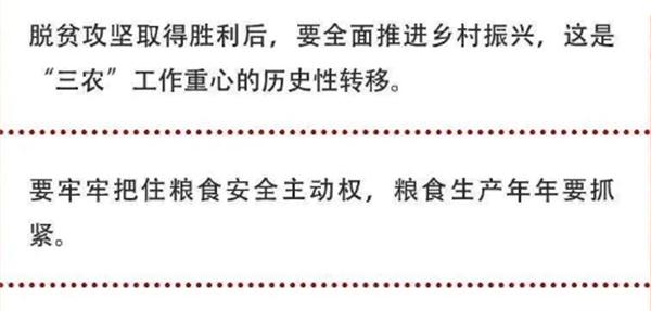 2020年中央農村工作會議精神速覽！(圖2)
