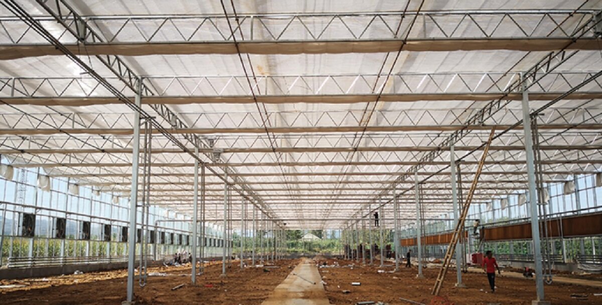 信橋鋼構(gòu)：打卡蒙陰農(nóng)業(yè)溫室大棚、青州黑牛養(yǎng)殖基地！(圖3)