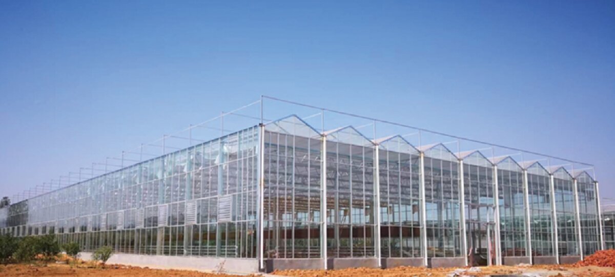 信橋鋼構(gòu)：打卡蒙陰農(nóng)業(yè)溫室大棚、青州黑牛養(yǎng)殖基地！(圖2)